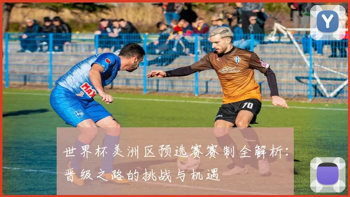 世界杯美洲区预选赛赛制全解析：晋级之路的挑战与机遇