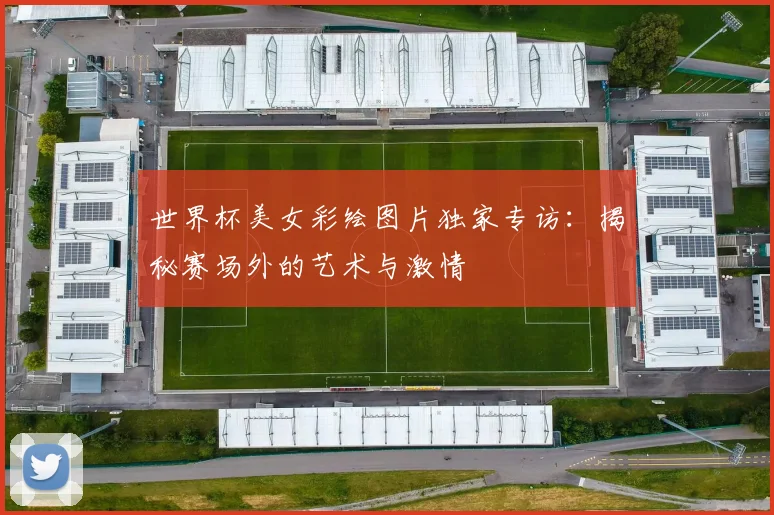 世界杯美女彩绘图片独家专访：揭秘赛场外的艺术与激情